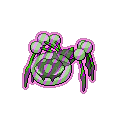 Exotic Araquanid